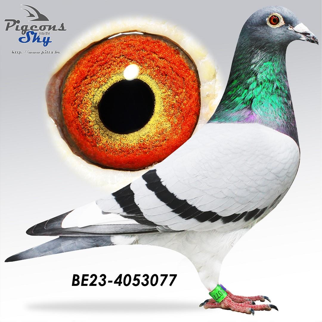 BE23-4053077