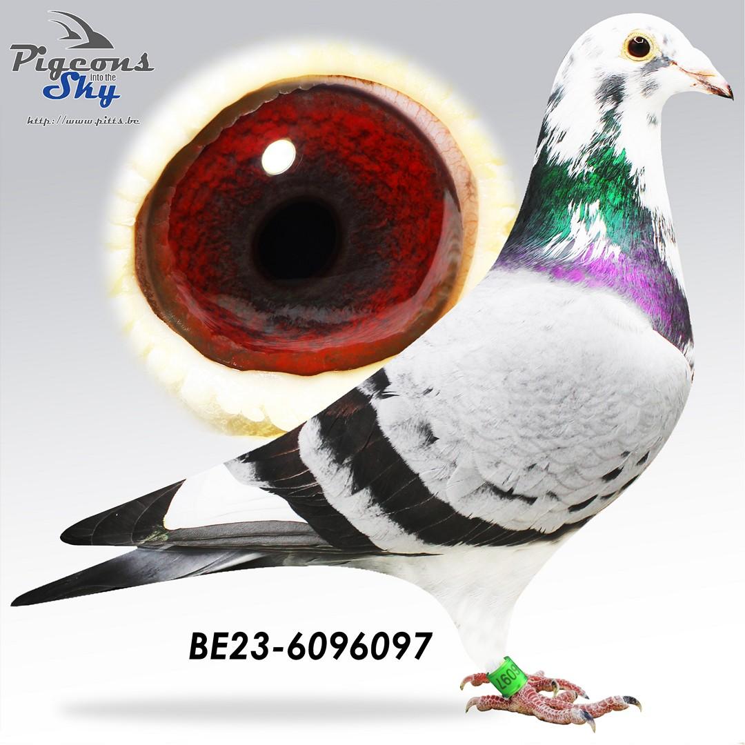 BE23-6096097