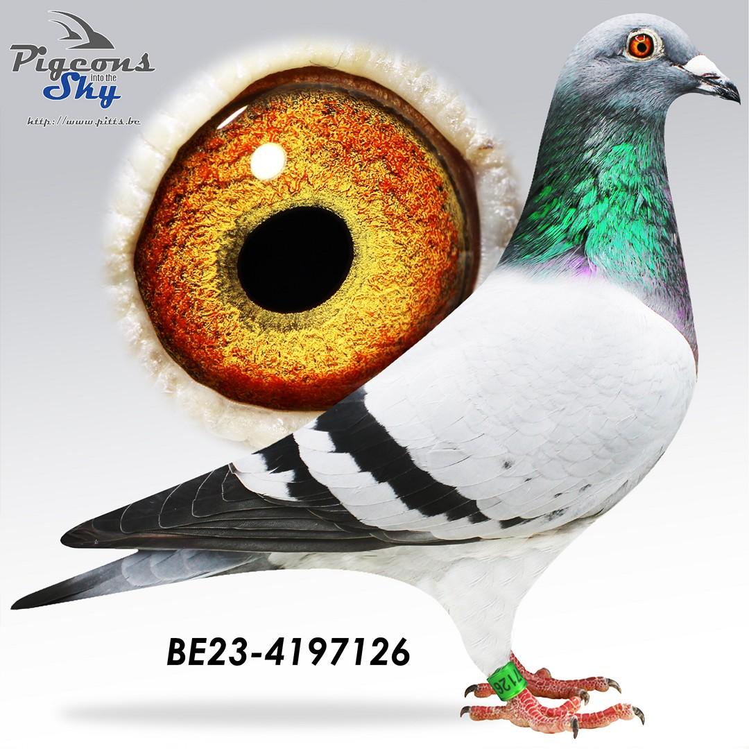BE23-4197126