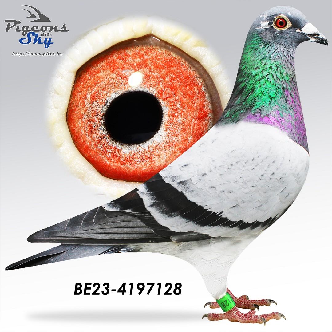 BE23-4197128