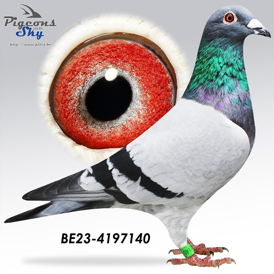 BE23-4197140