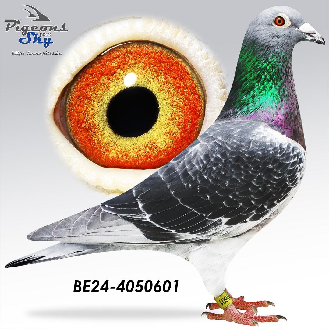 BE24-4050601