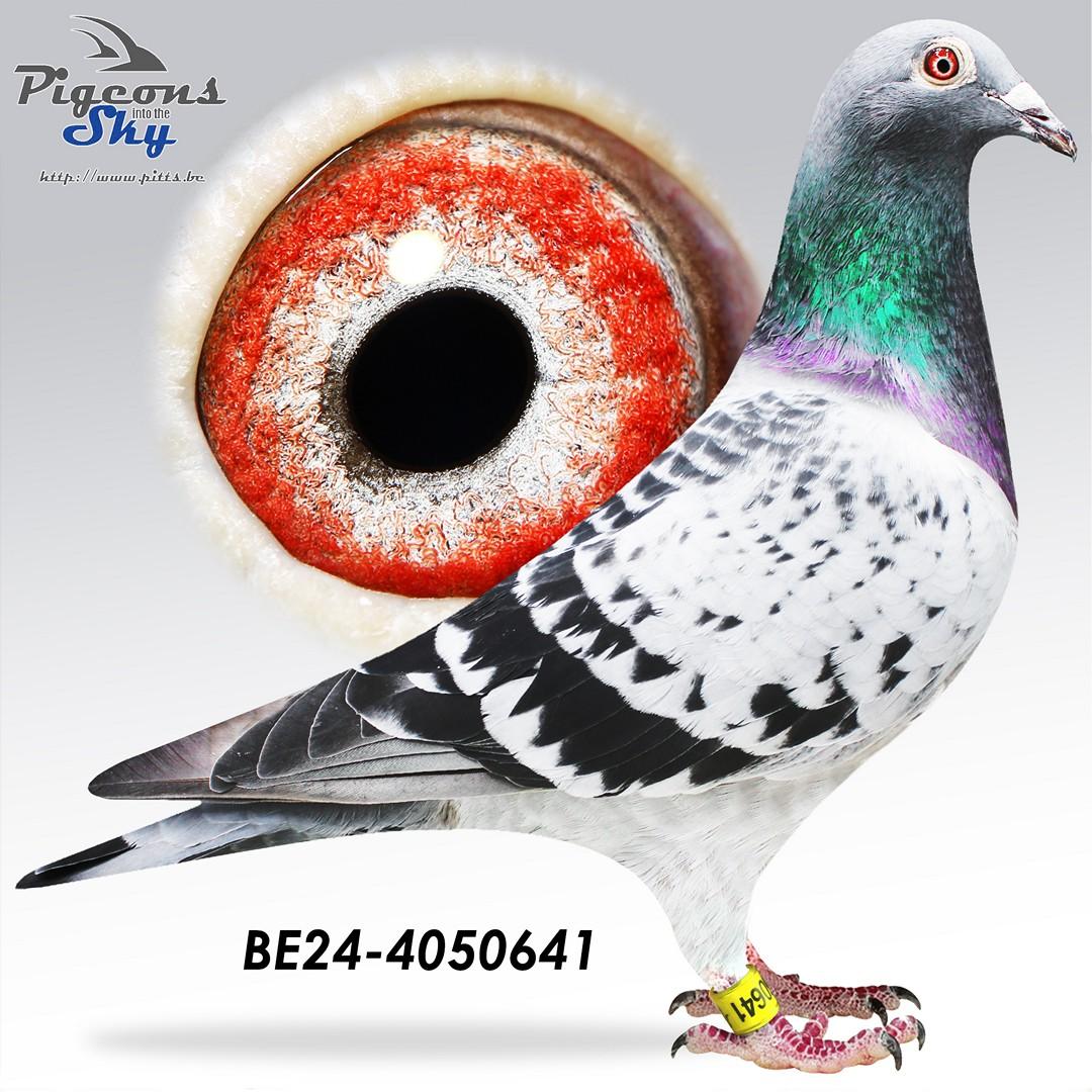 BE24-4050641