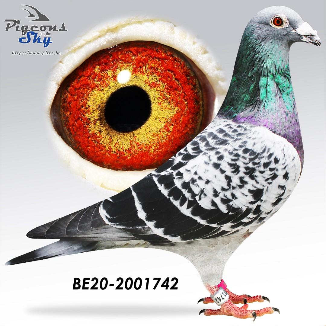 BE20-2001742