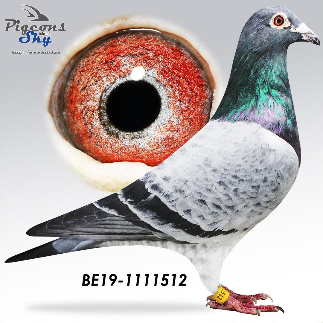 BE19-1111512