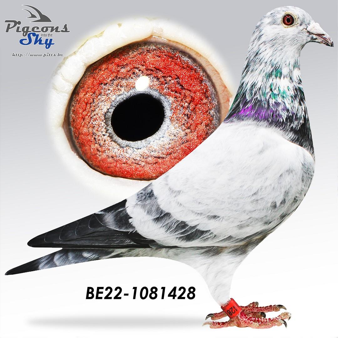 BE22-1081428