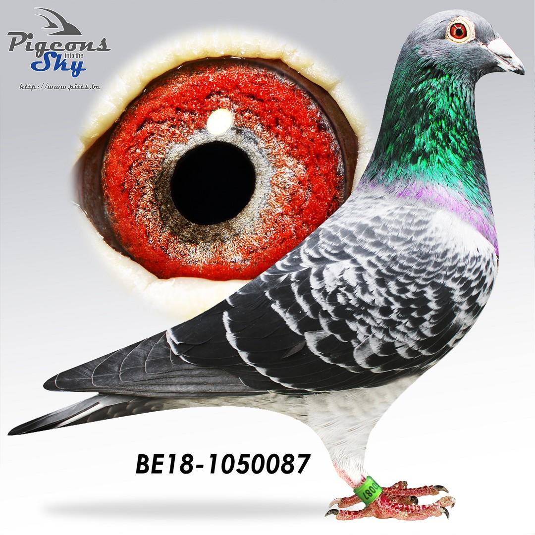 BE18-1050087