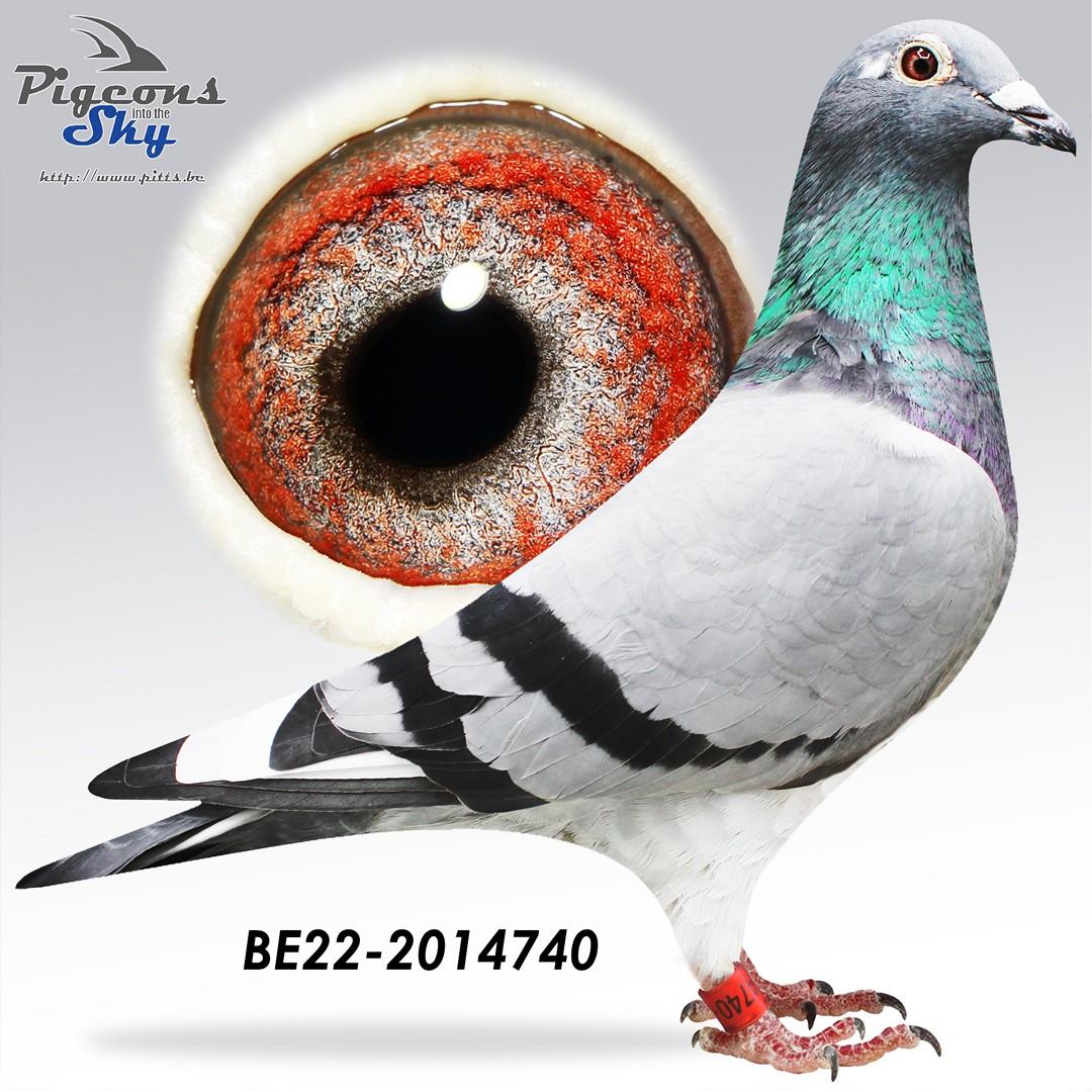 BE22-2014740