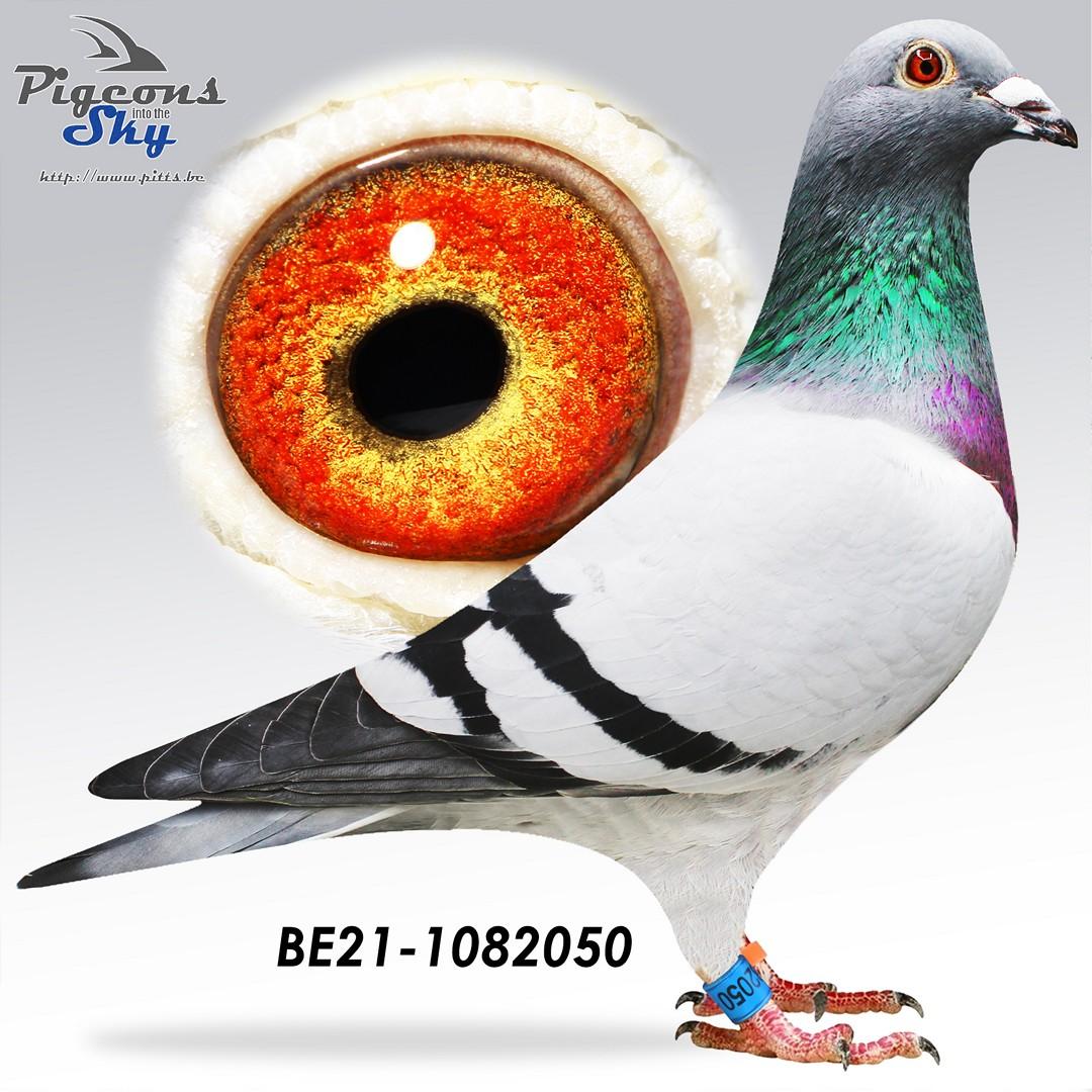 BE21-1082050