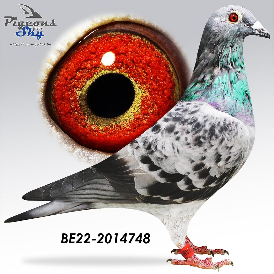 BE22-2014748