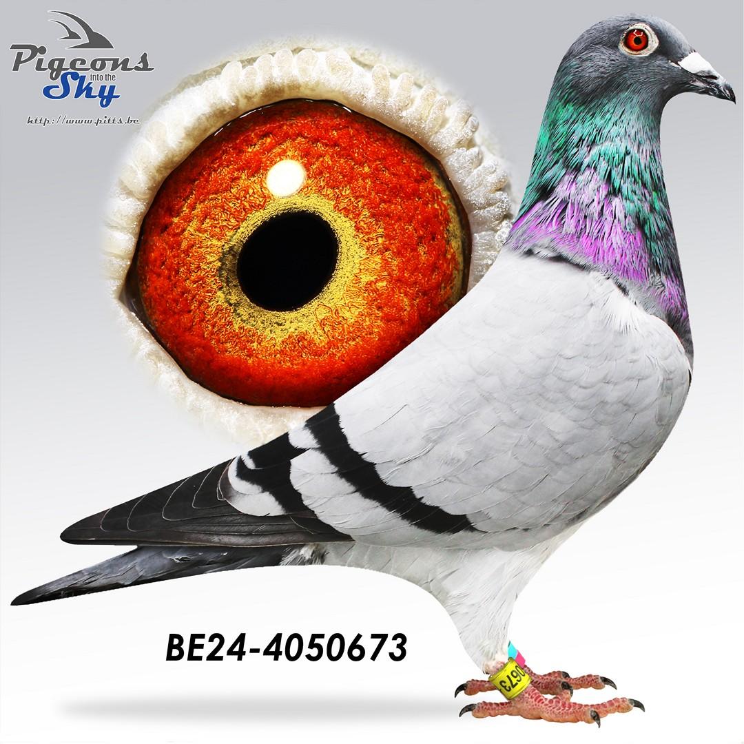 BE24-4050673