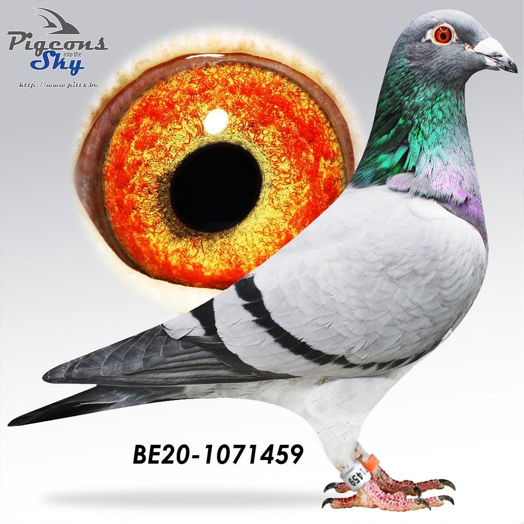 BE20-1071459