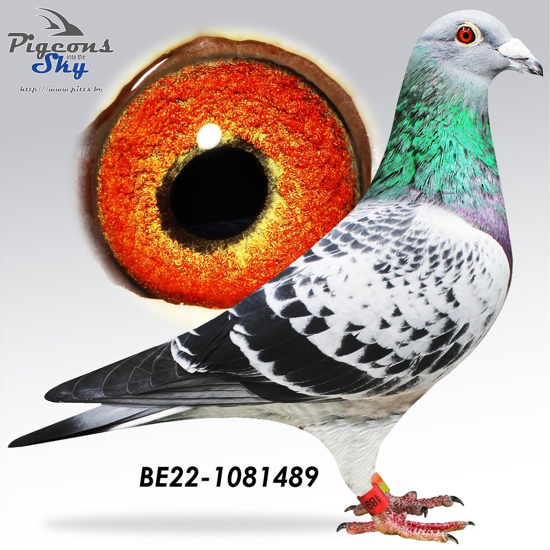 BE22-1081489