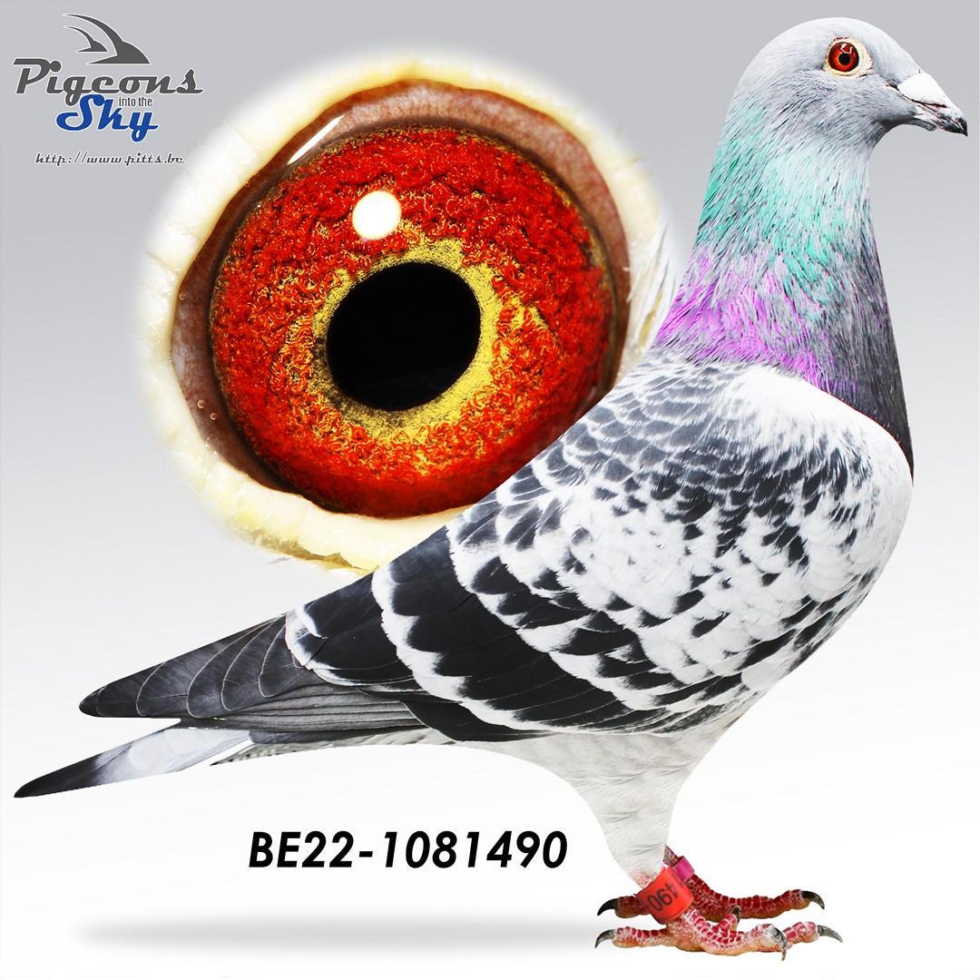 BE22-1081490