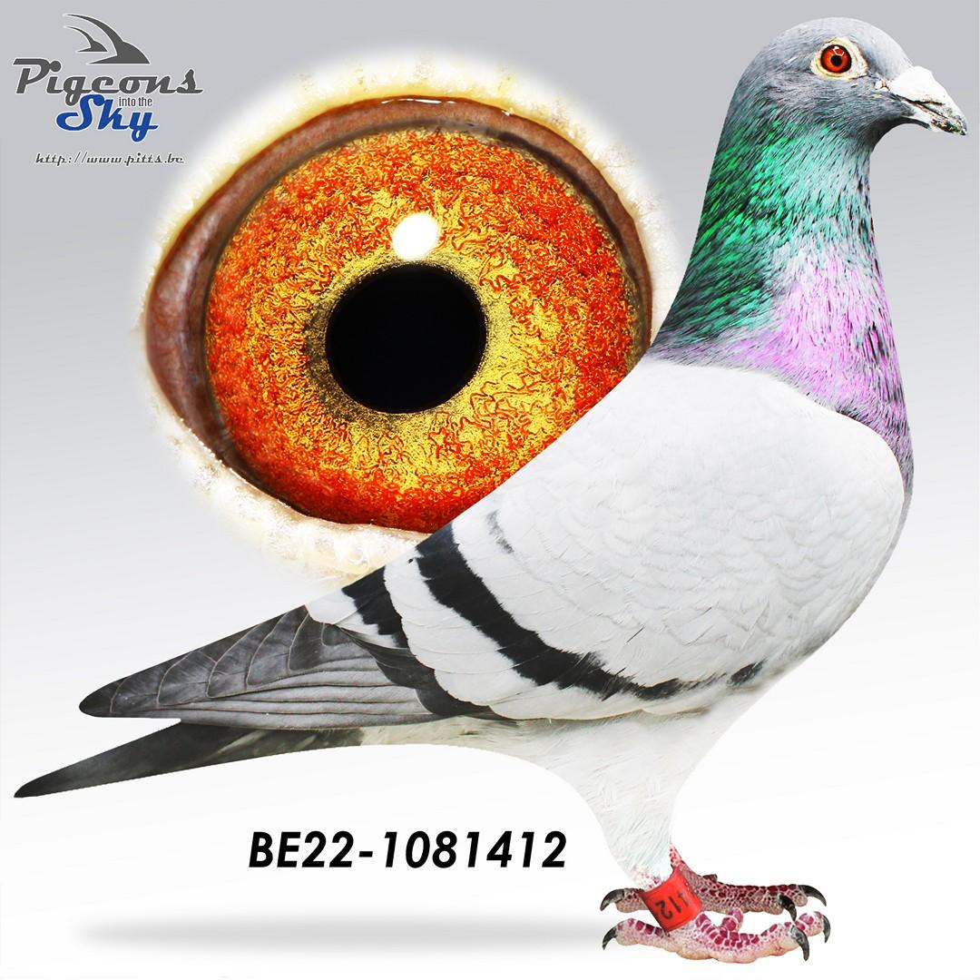 BE22-1081412