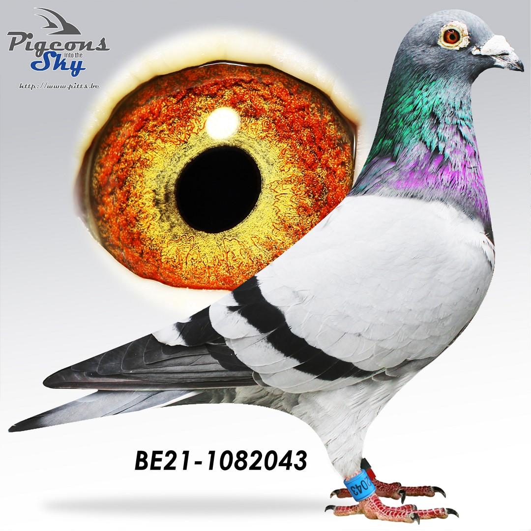 BE21-1082043