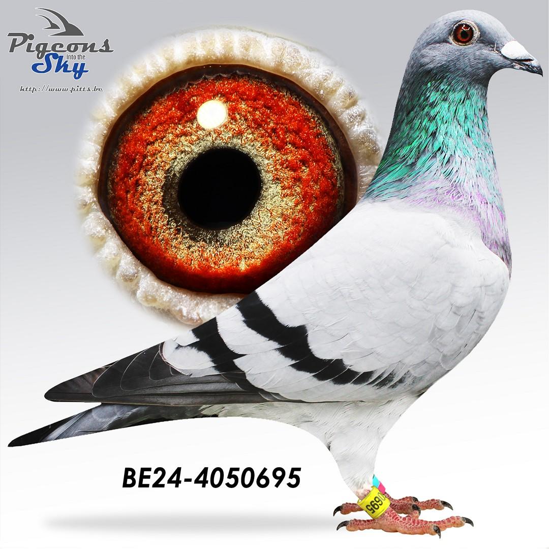 BE24-4050695