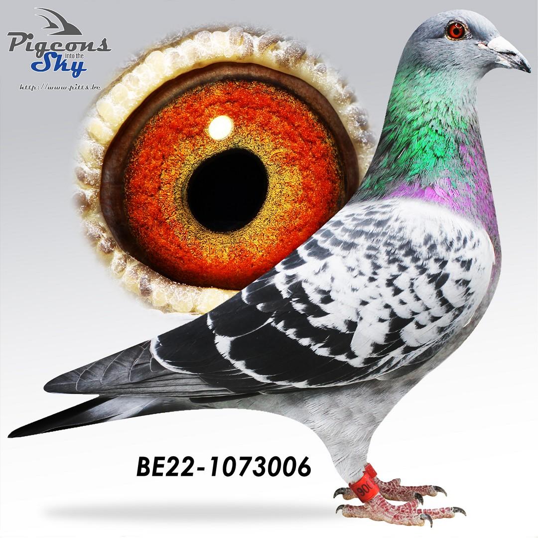 BE22-1073006