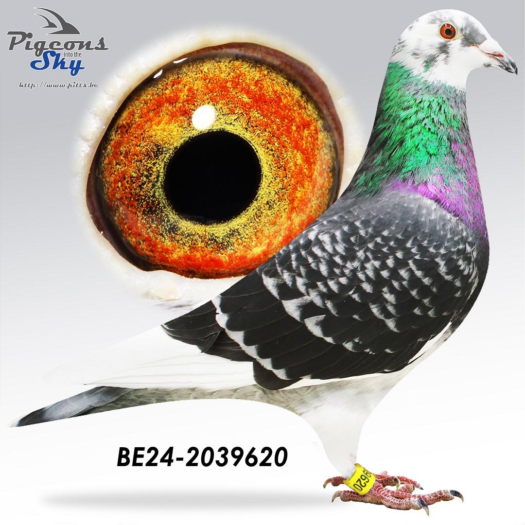 BE24-2039620
