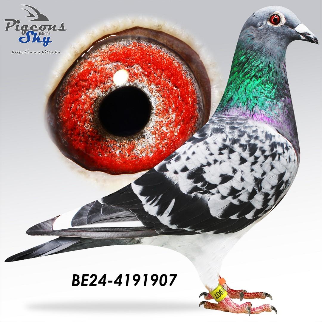 BE24-4191907