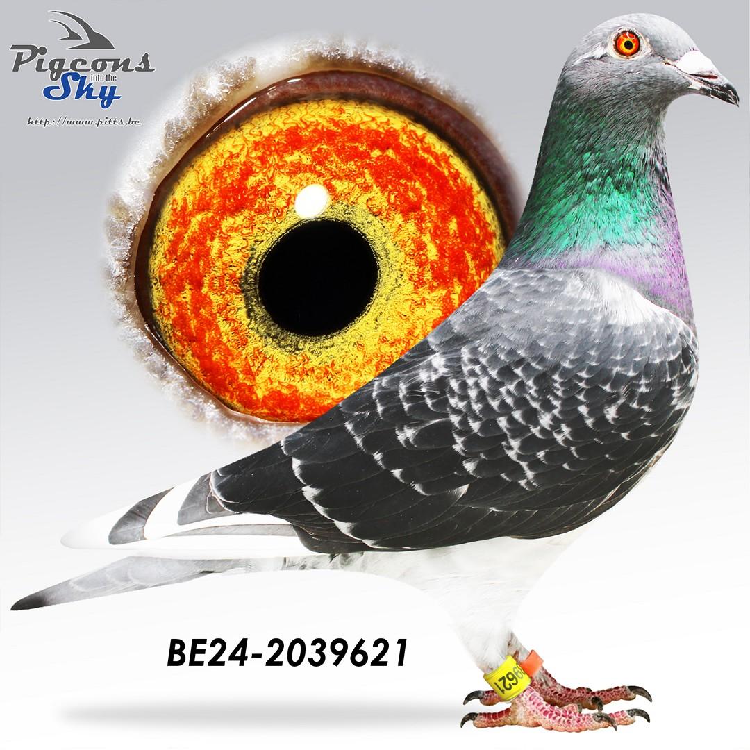 BE24-2039621