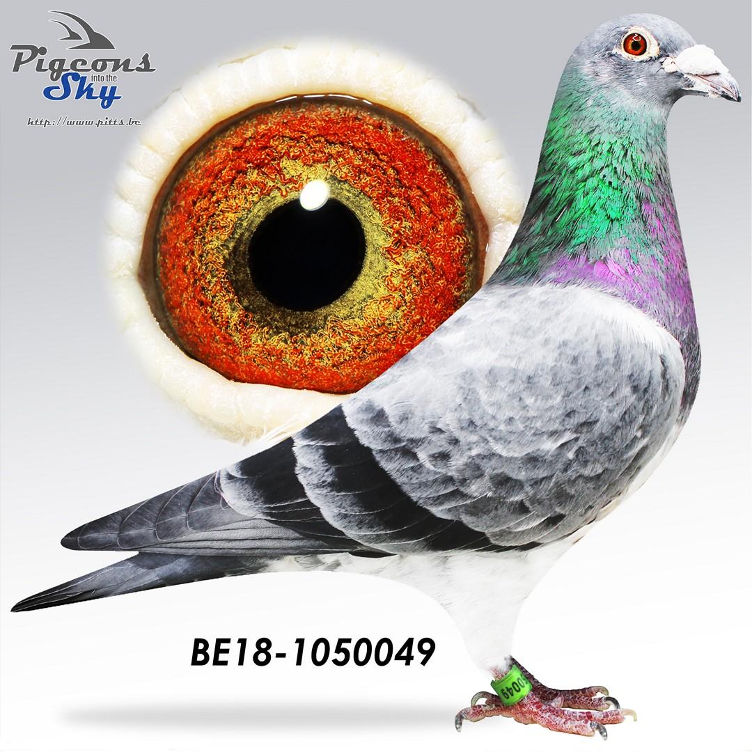 BE18-1050049