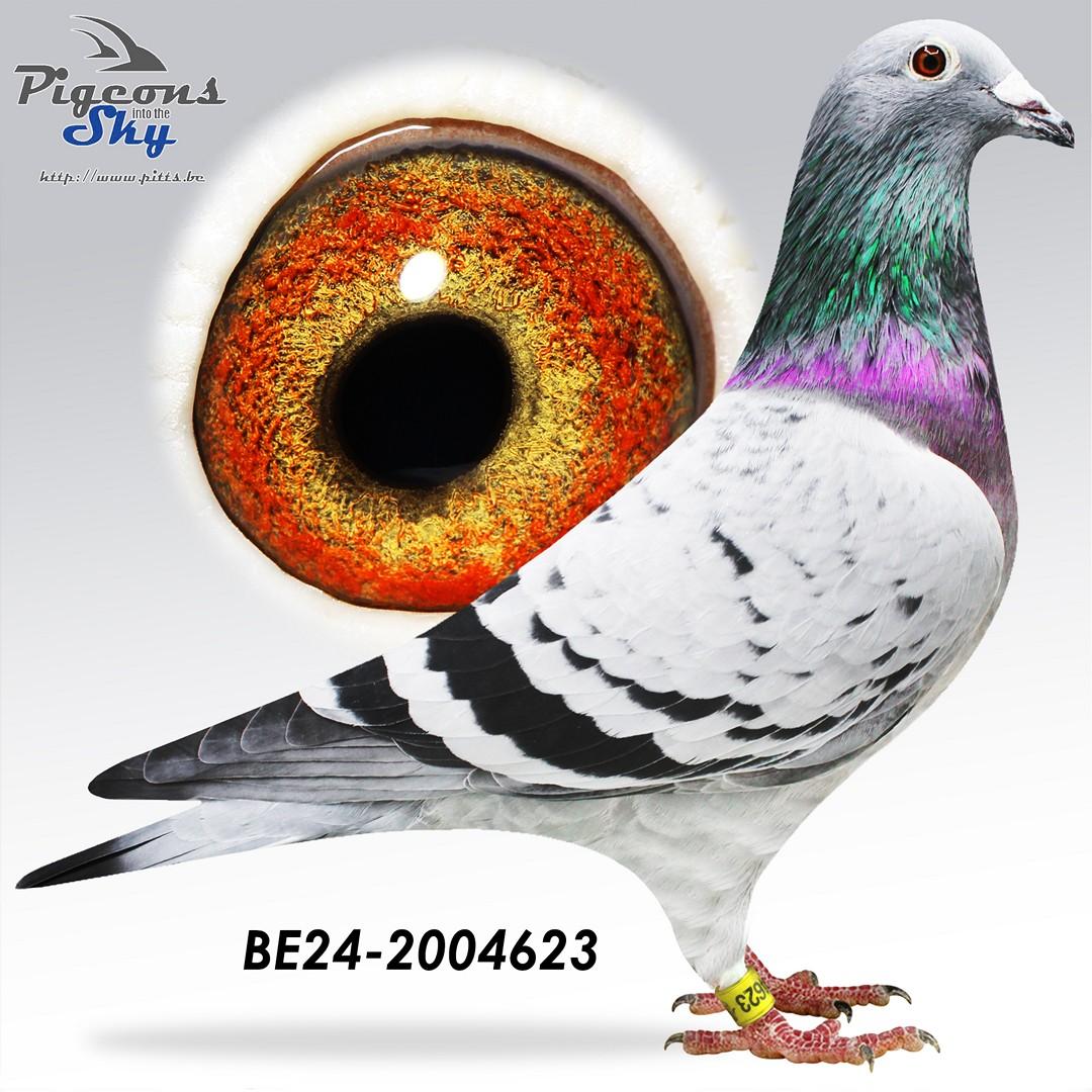 BE24-2004623