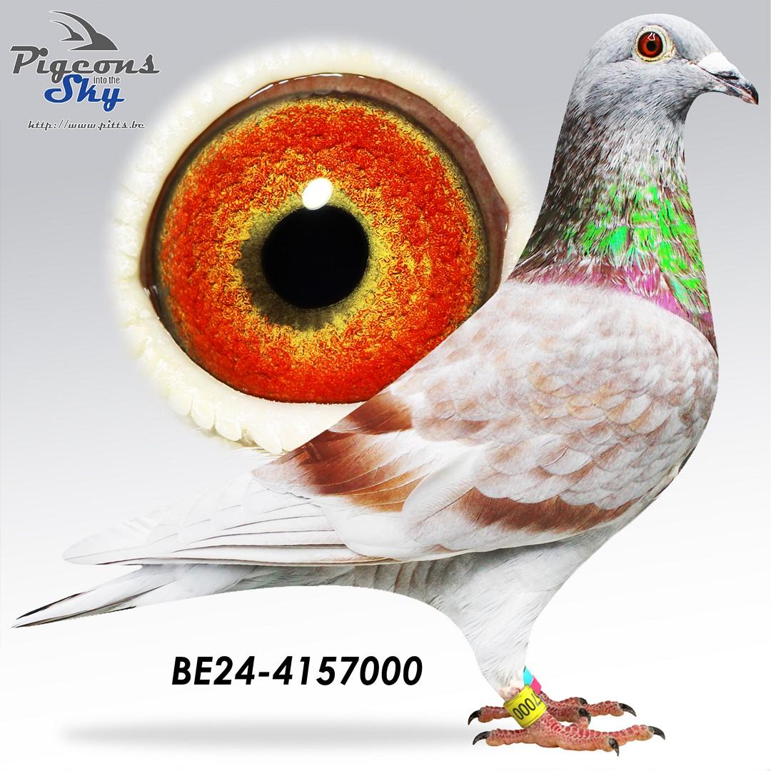 BE24-4157000