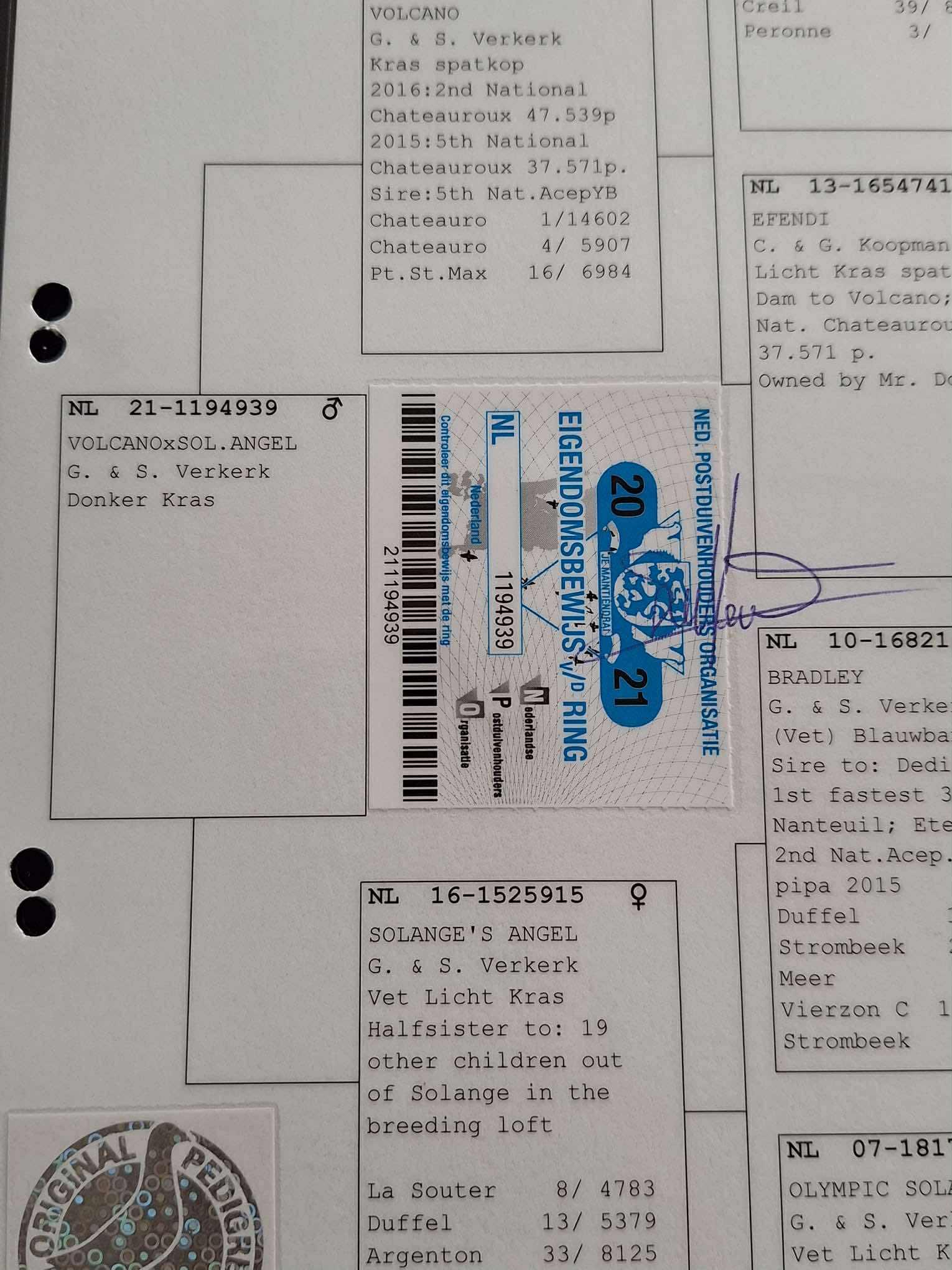 407c99d3-35af-48eb-803a-f0a9f78e154e