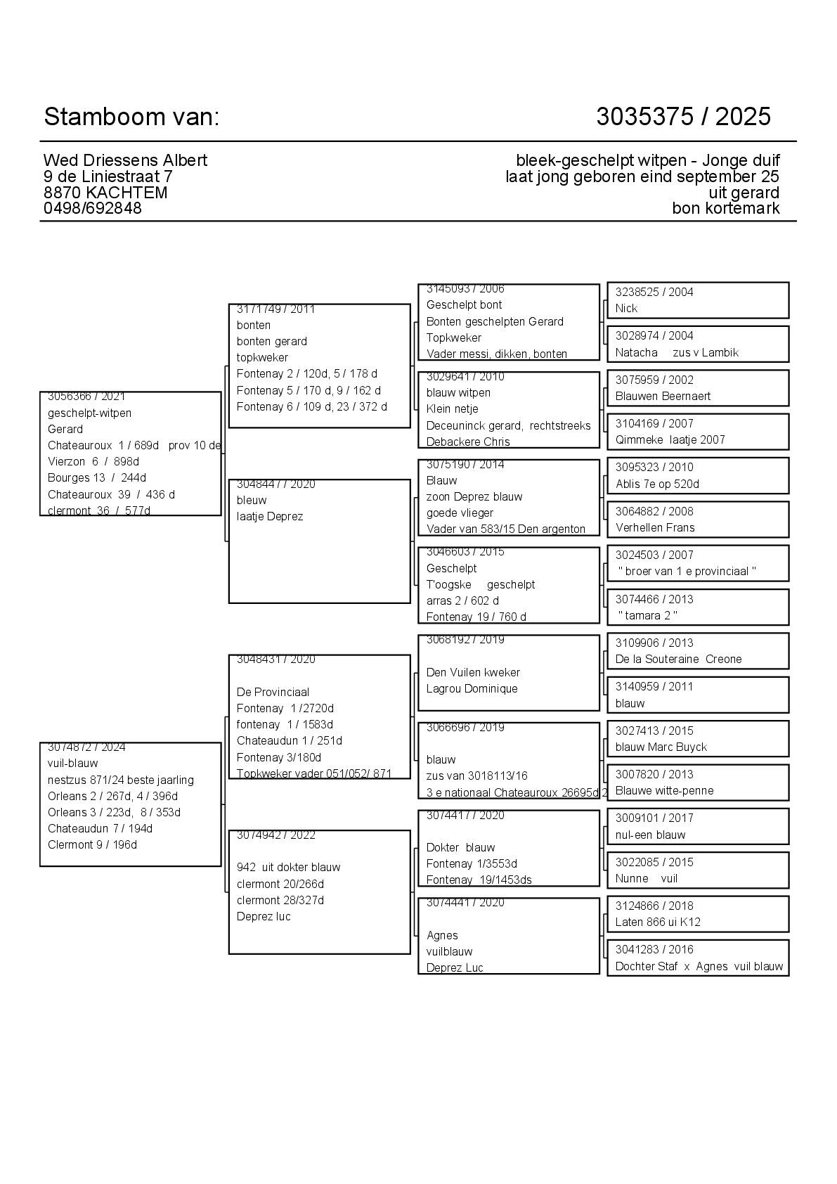 Stamboom_3035375_-_2025-(1)