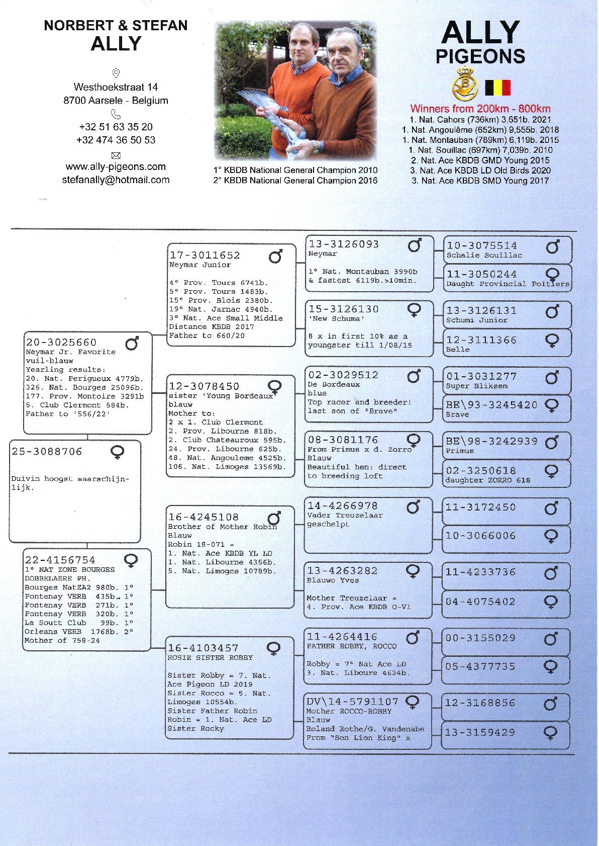 01-ALLY NORBERT 25-3088706 Schenking Ruiselede