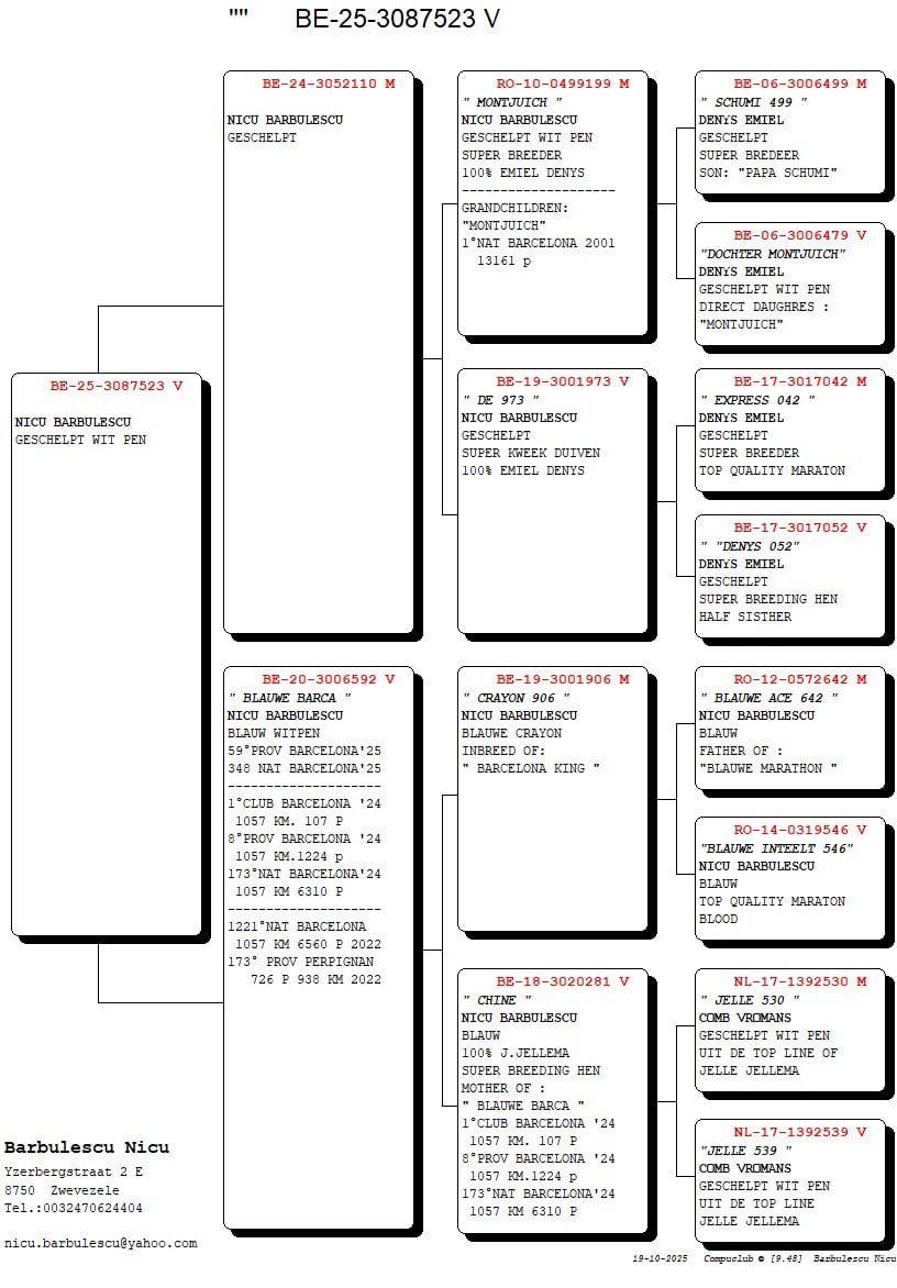 BARBULESCU NICU PEDIGRE 25-3087523