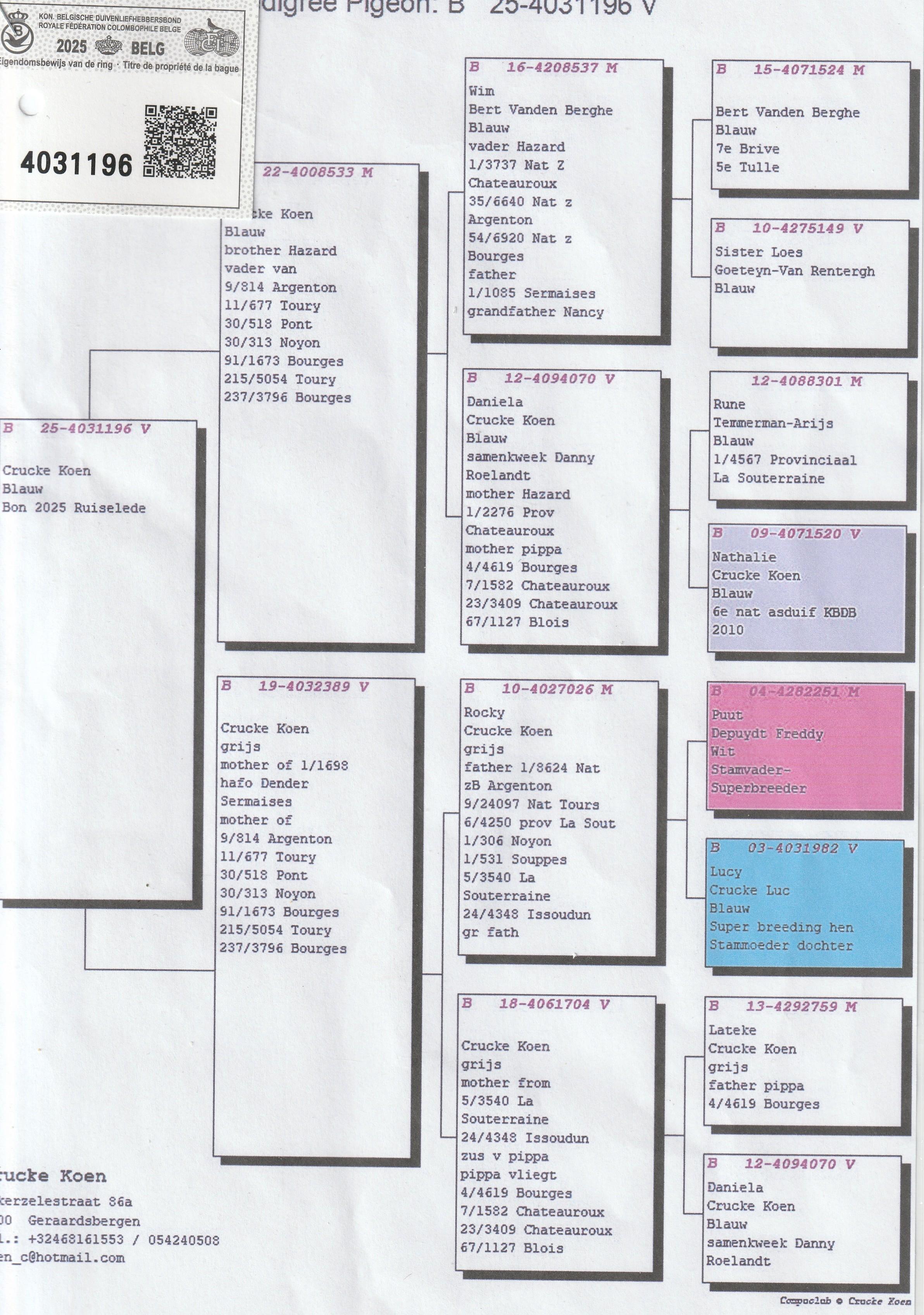 18-CRUCKE KOEN 25-4031196