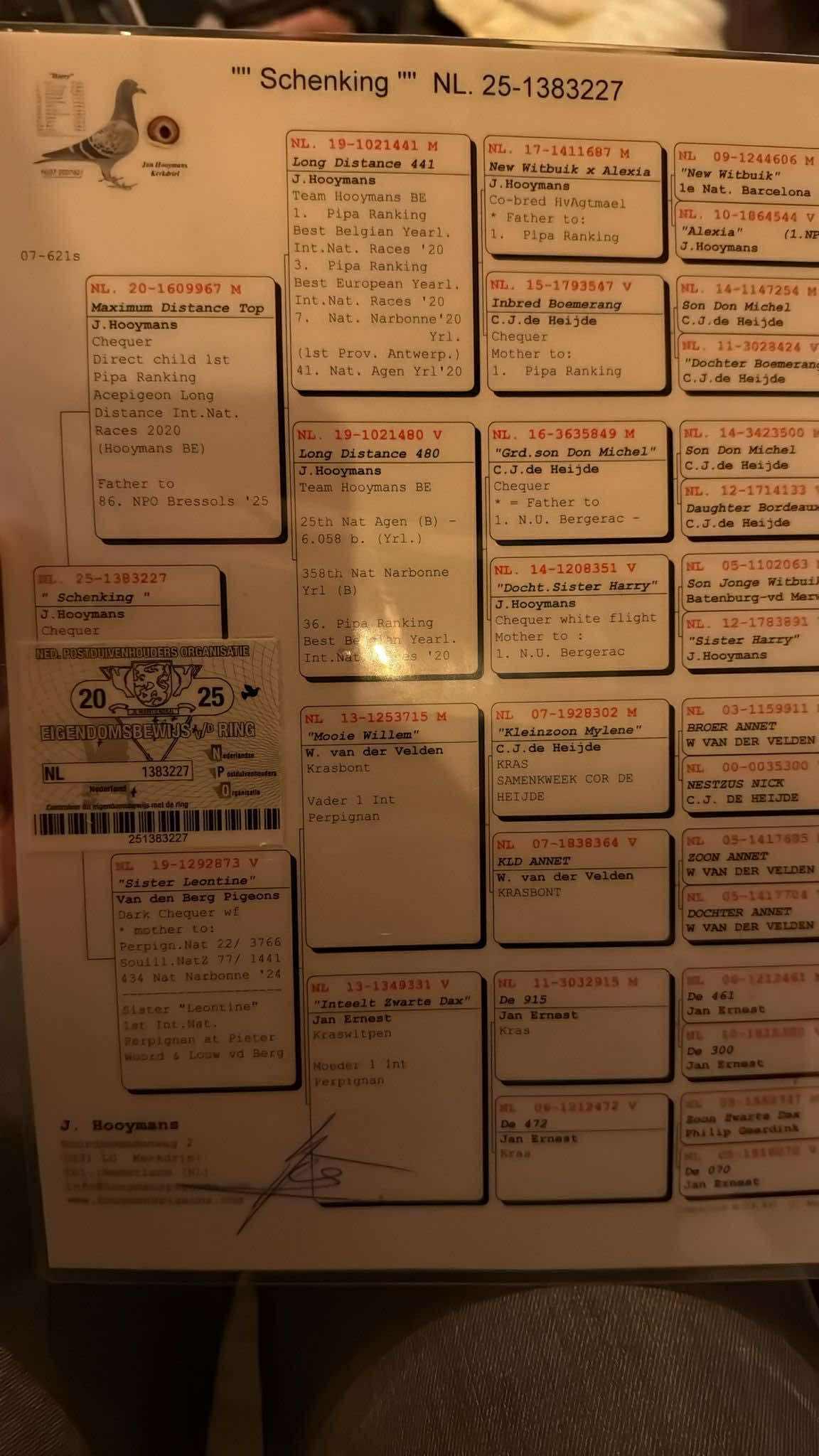 d1c2de2d-56be-409e-98b9-f05486dd72e2