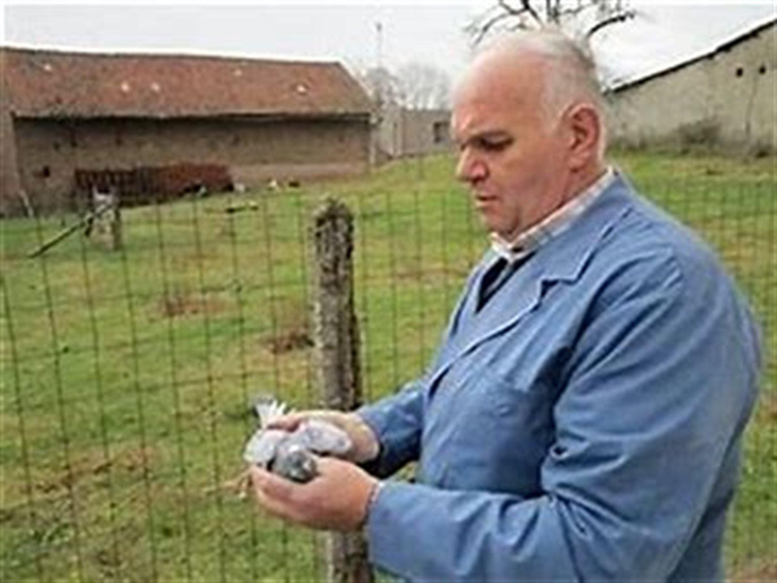 127672-61989-vosgerard1-detaillarge-detaillarge