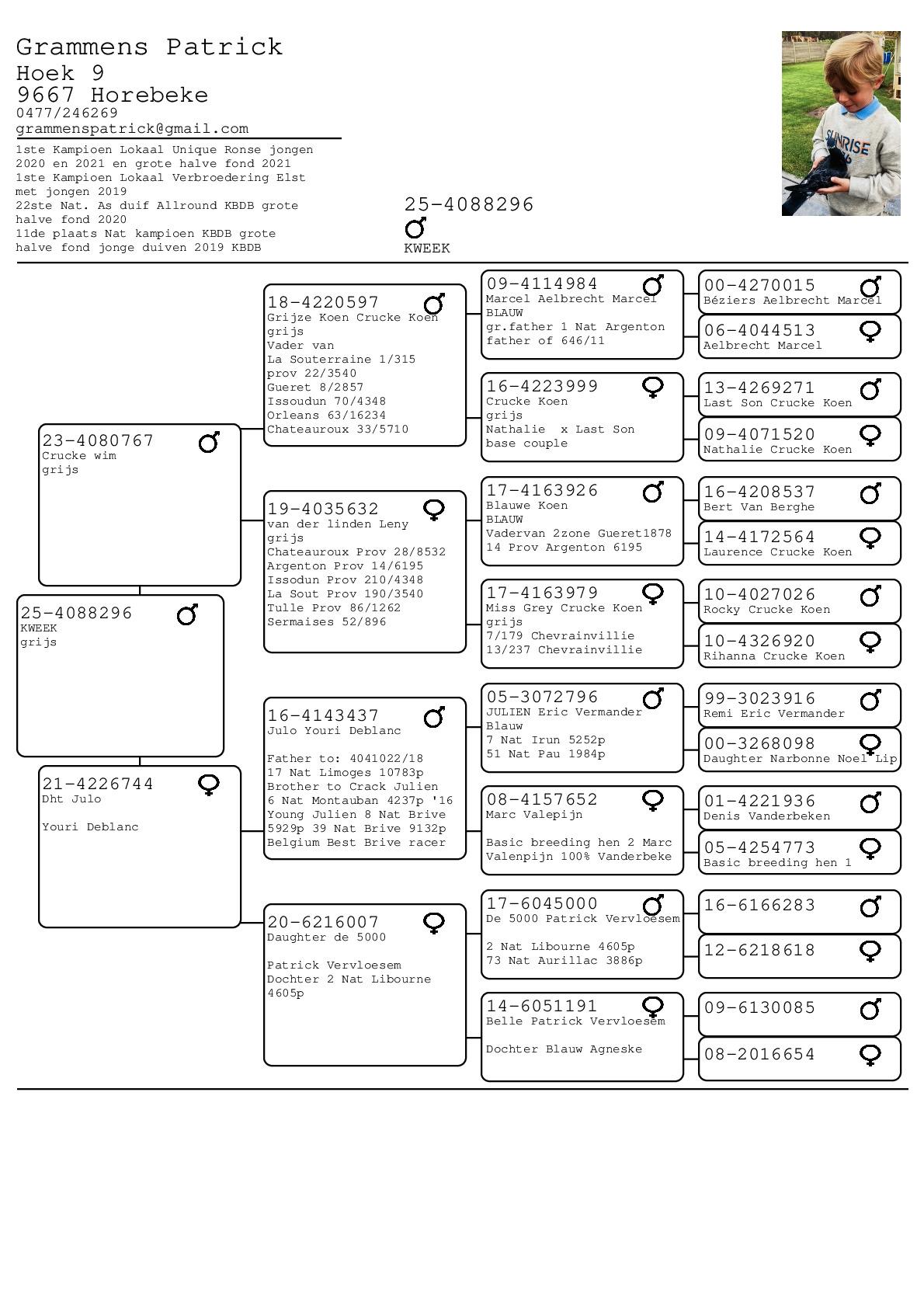 patrick grammens keuze 1