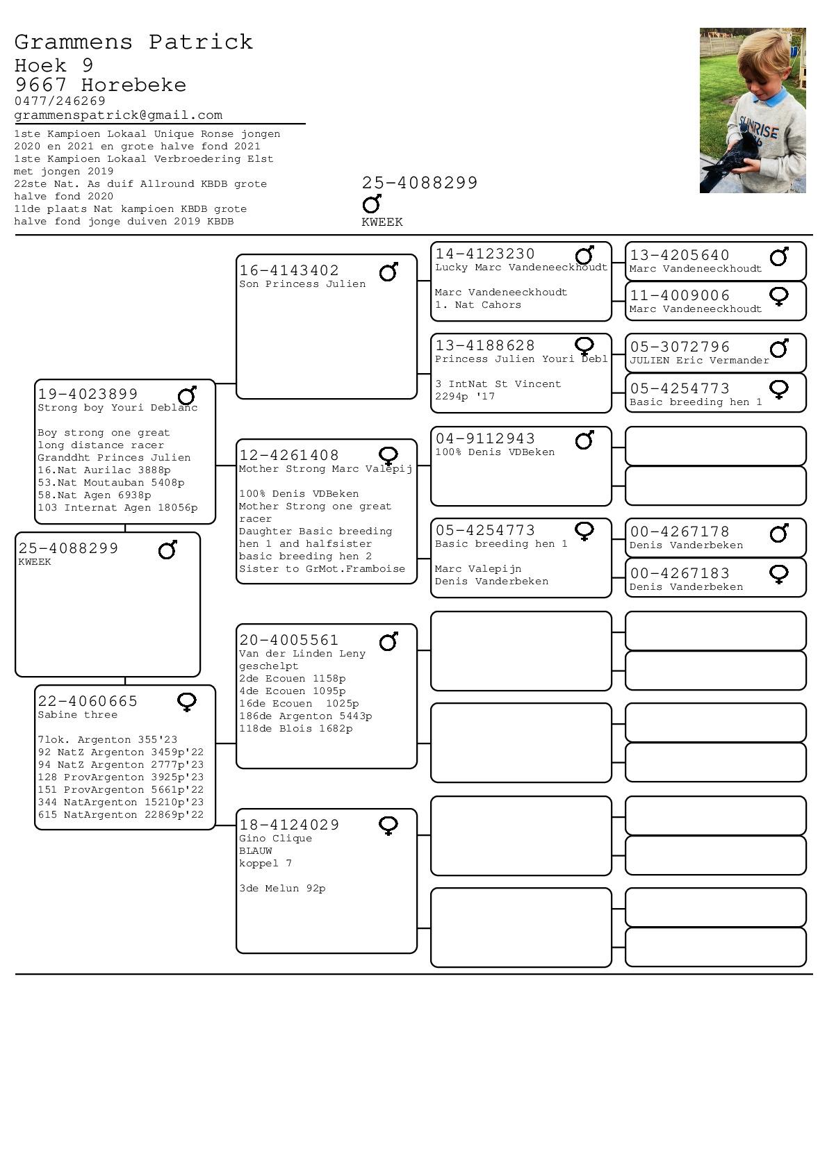 patrick grammens keuze 2