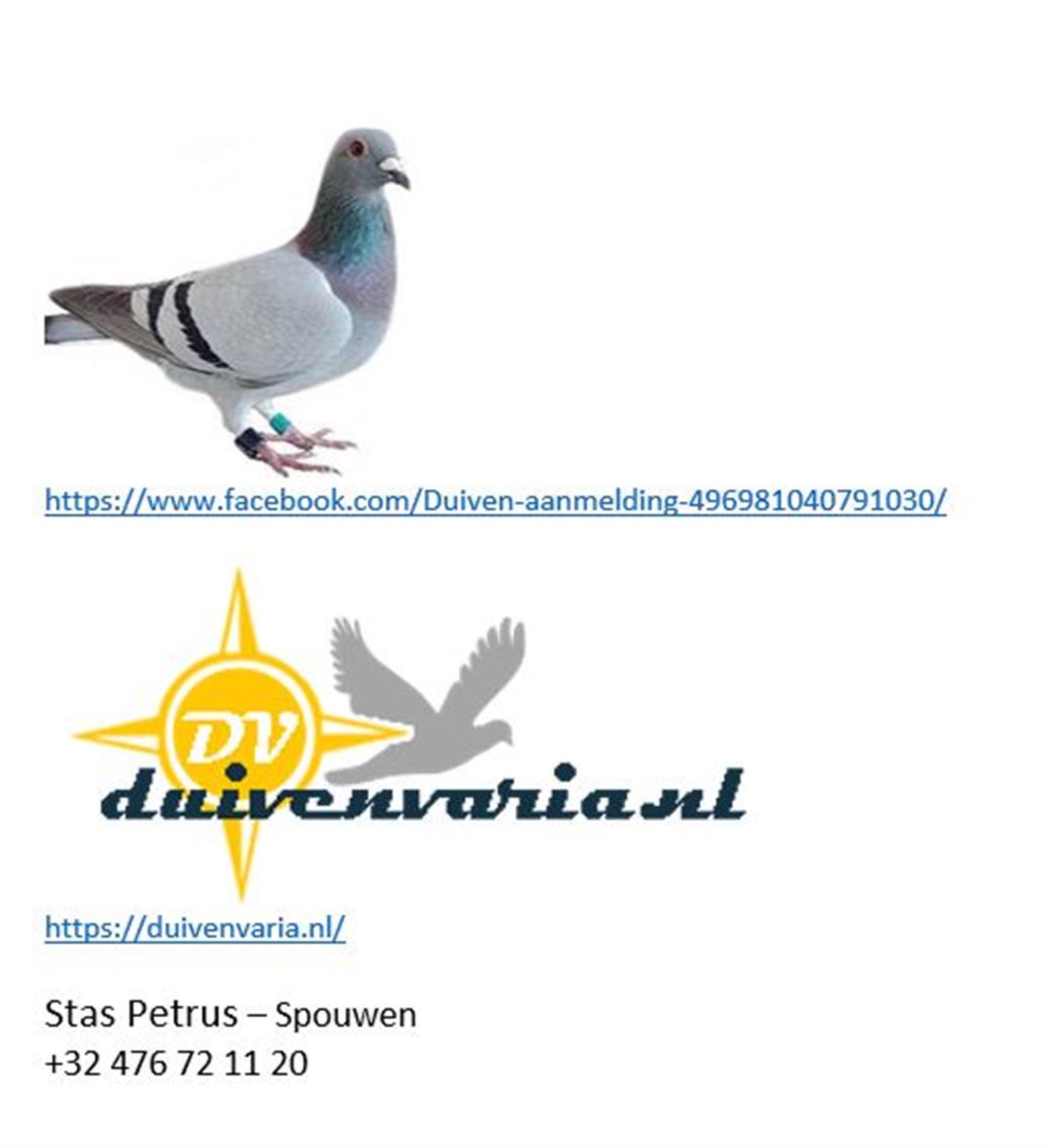 67330-stas-pierre-jean-detaillarge