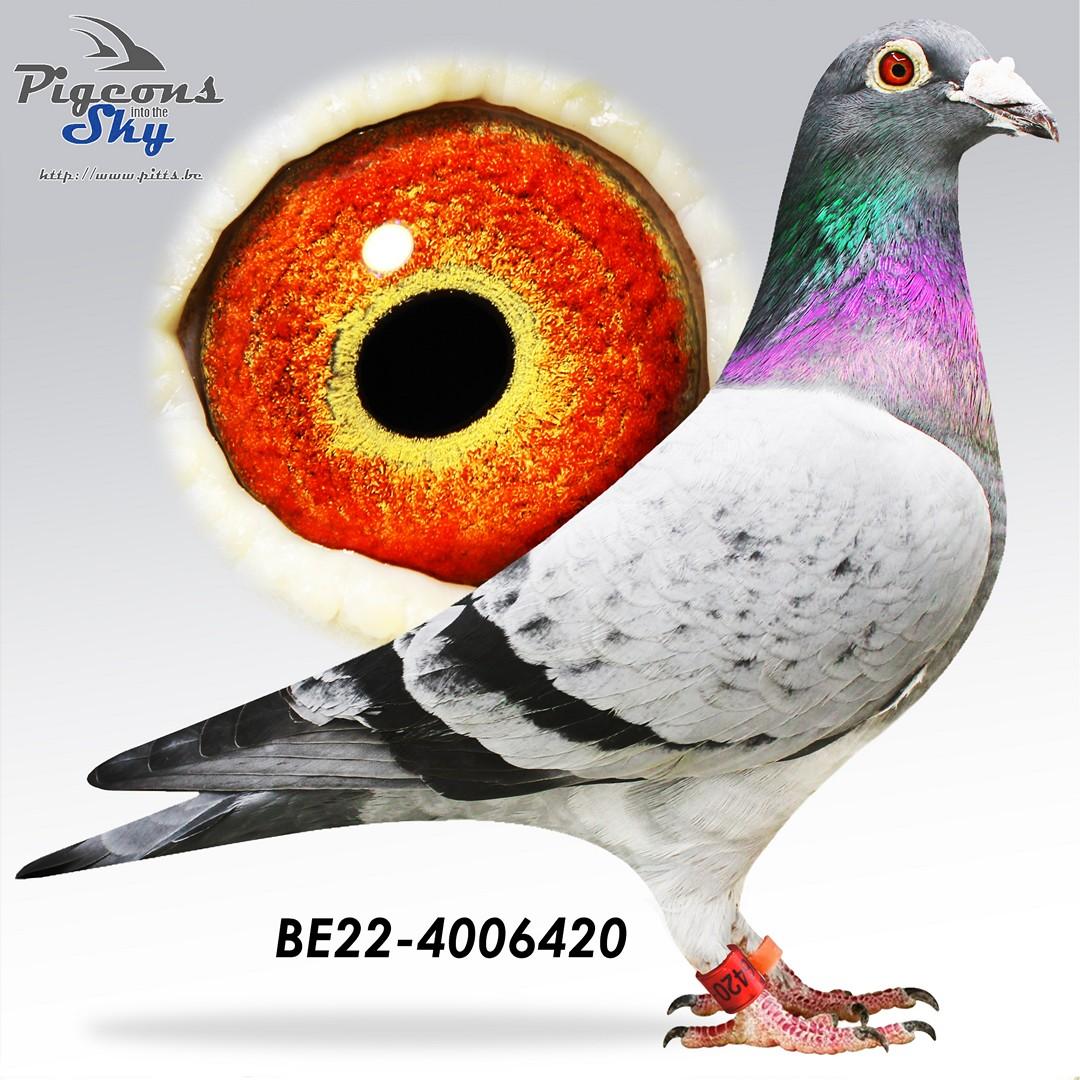 BE22-4006420