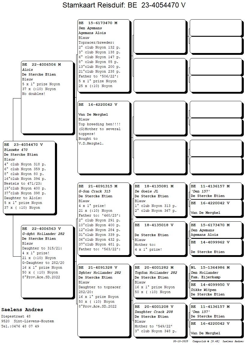 Koop 6 (4054470_23) duivin