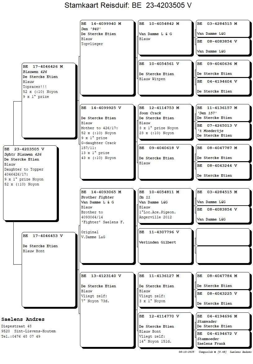 Koop 8 (4203505_23) duivin