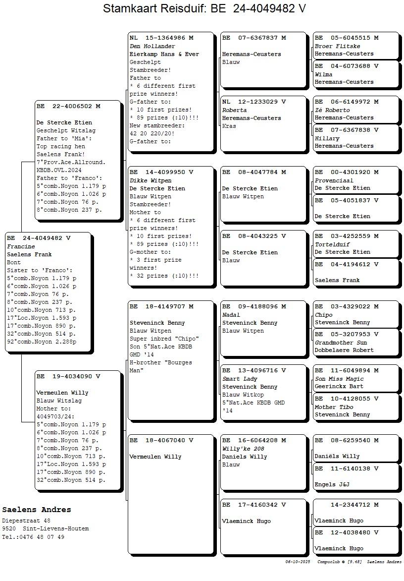 Koop 9 (4049482_24) duivin
