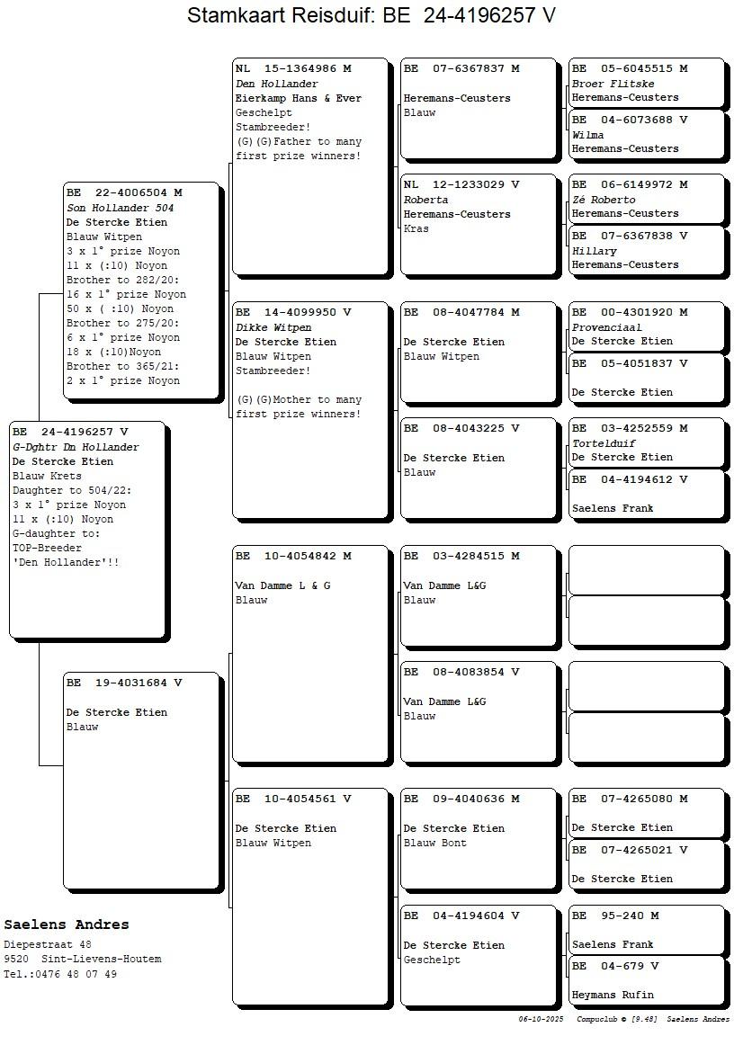 Koop 12 (4196257_24) duivin
