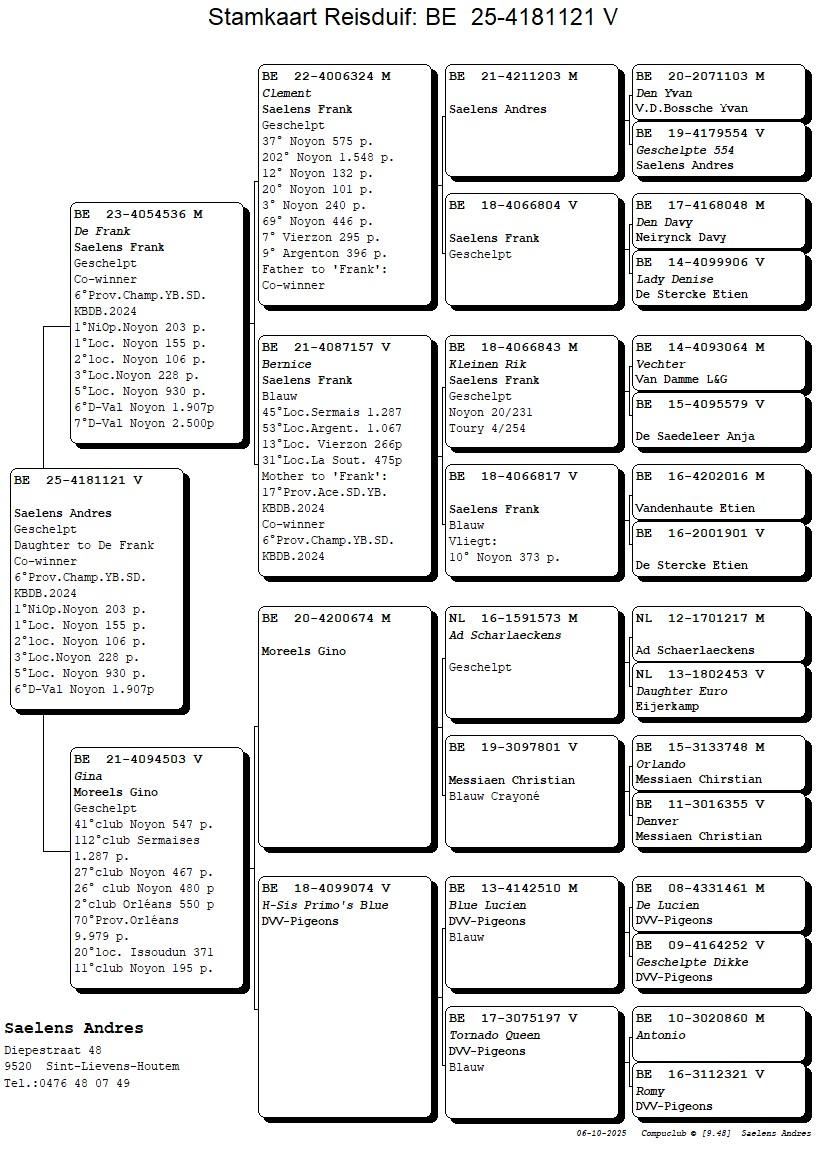 Koop 13 (4181121_25) duivin
