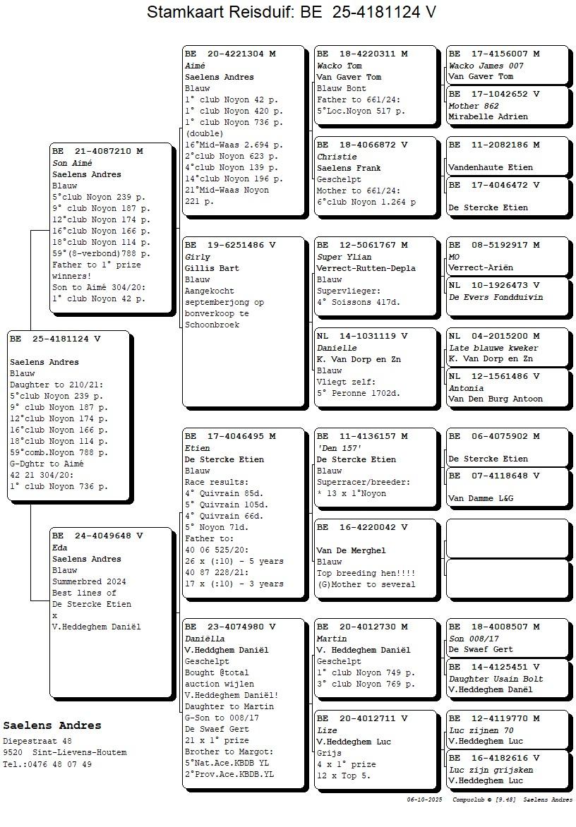 Koop 14 (4181124_25) duivin