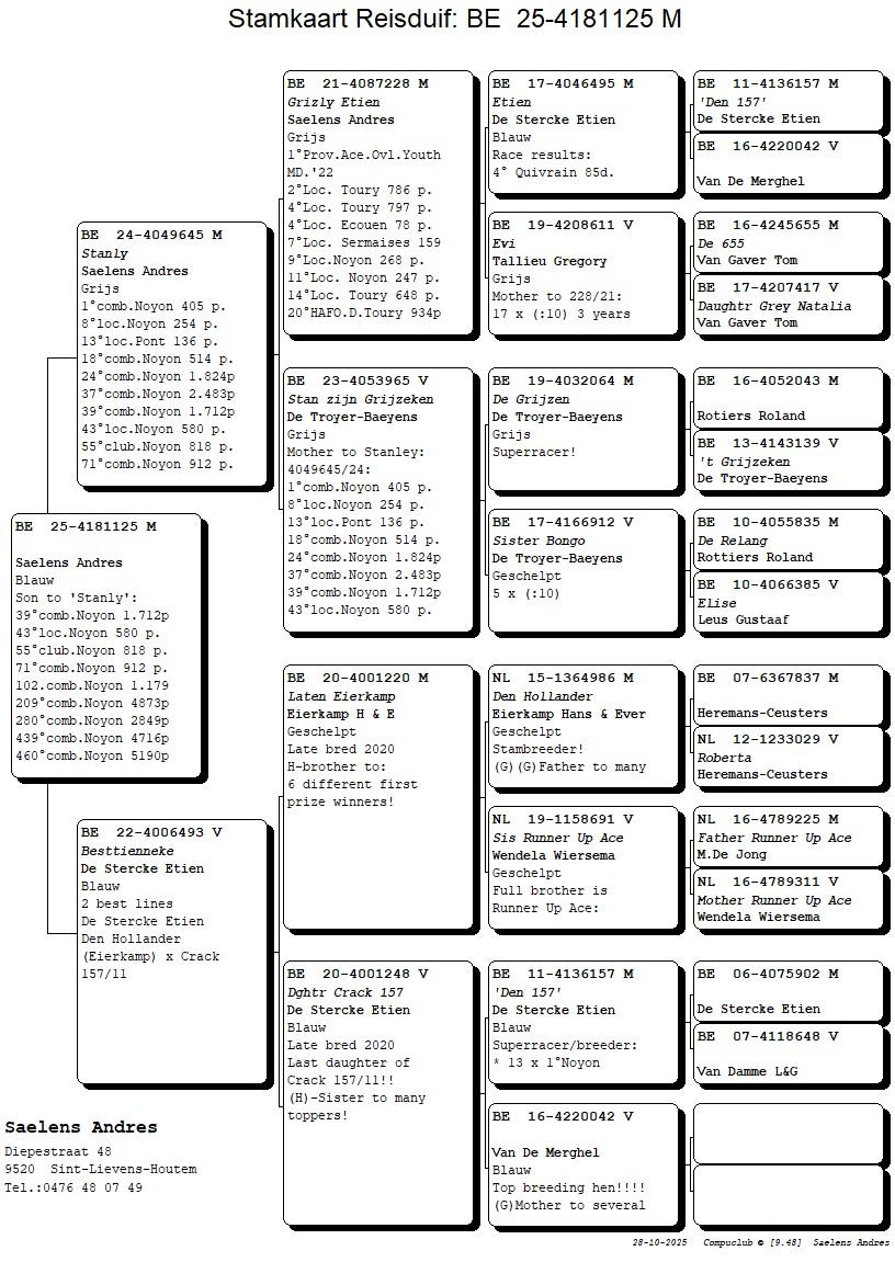 Koop 15 (4181125_25) duivin