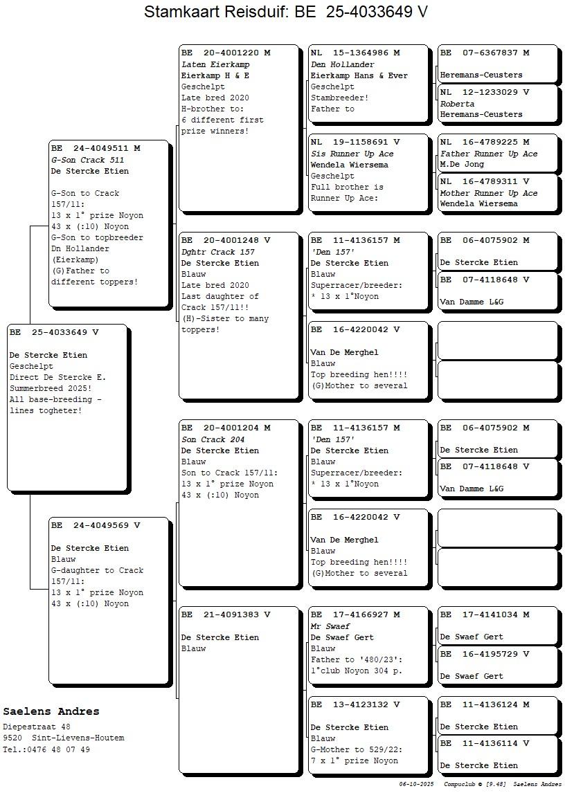 Koop 16 (4033649_25) duivin