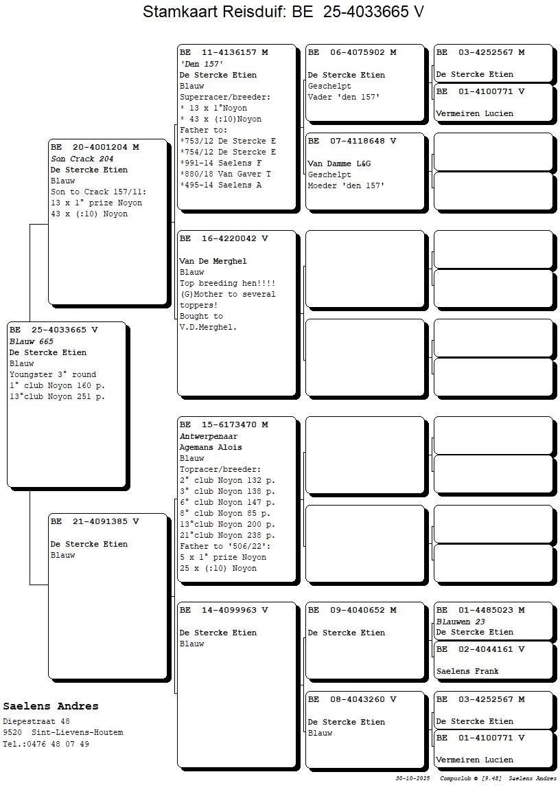 Koop 18 (4033665_25) duivin