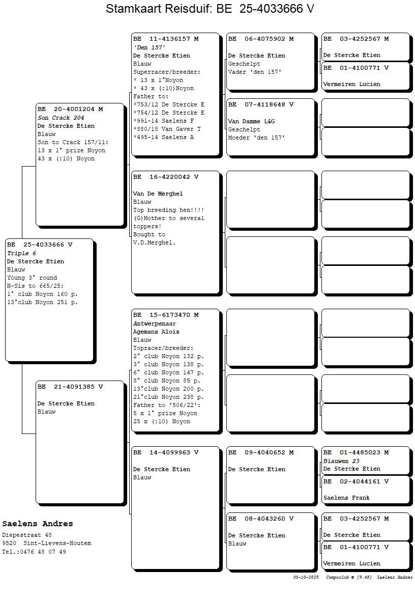 Koop 19 (4033666_25) duivin