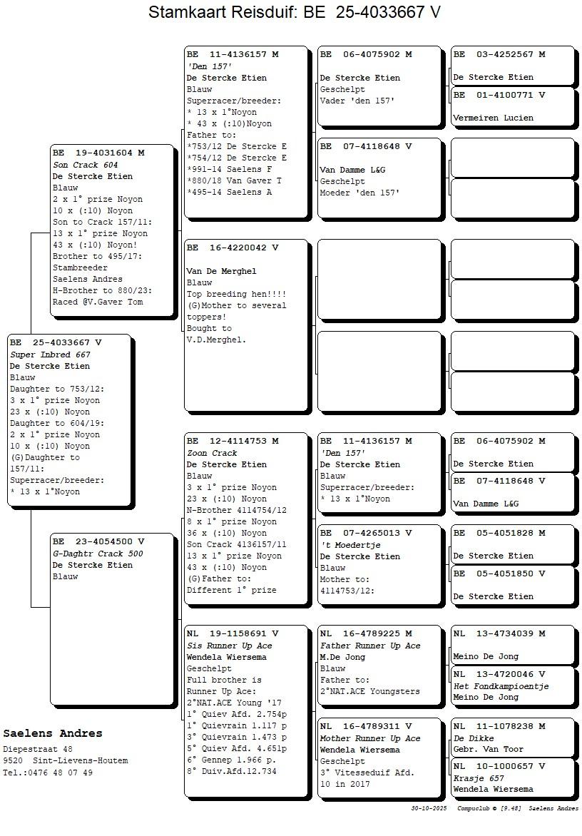 Koop 20 (4033667_25) duivin